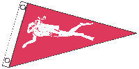  flag