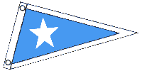  flag