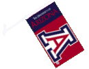 [University of Arizona Car Flag]