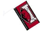 [University of Arkansas Car Flag]