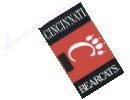 [University of Cincinnati Car Flag]