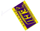 [East Carolina University Car Flag]