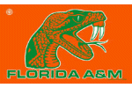 Florida A and M flag