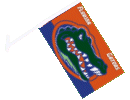 [University of Florida Car Flag]