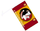 [Florida State University Car Flag]