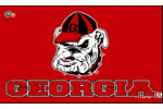 [University of Georgia Flag]