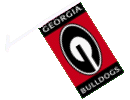 [University of Georgia Car Flag]