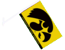 University of Iowa  Car Flag