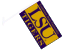  Car Flag