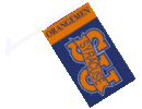 [Syracuse University Car Flag
