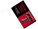 Car Flag