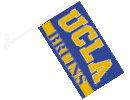 [University of California LA Flag]