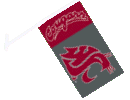  Car Flag