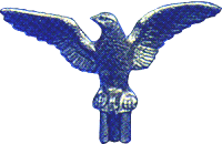 [Gold Plastic Eagle]