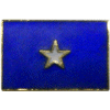 [Bonnie Blue Flag Pin]