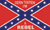 Confederate w/Dern Tooten flag