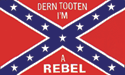 [Confederate Dern Tooten I'm A Rebel Flag]