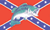 Confederate w/Fish flag