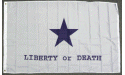 [Joanna Troutman Liberty or Death Lt Poly Flag]