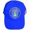 [Air Force Economy Ball Cap]