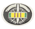 [Vietnam Veteran Ribbon Belt Buckle]