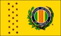 [Vietnam Veteran Flag]