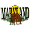 [Maryland Horses Magnet]