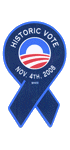 Historic Vote Ribbon Magnet