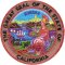 California state seal patch
