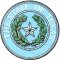 Texas state seal patch