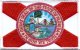 Flordia flag patch