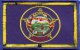 Minnesota flag patch