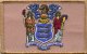 New Jersey flag patch