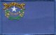 Nevada flag patch
