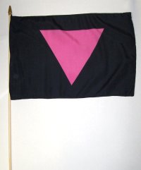 12xpinktri.jpg