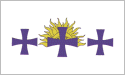 [Hispanic Race Flag]