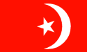 [Nation of Islam Flag]