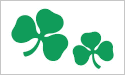 Shamrocks Flag