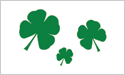 [Shamrock Trio Flag]