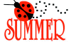 Summer Ladybug flag