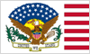 United We Stand Eagle flag