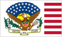 [United We Stand Eagle Flag]