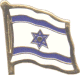 [Israel Flag Pin]