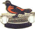 Orioles Bird on Stadium pin