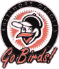 Orioles Go Birds pin