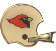 Cardinals Helmet Pin