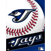 [Blue Jays Banner]