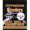 [Steelers Banner]