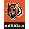 [Bengals Banner]