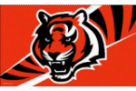[Bengals Flag]